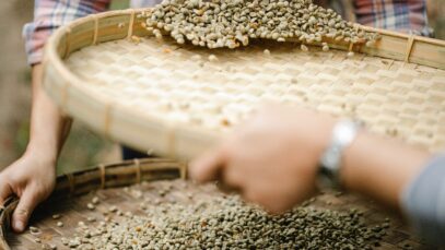 Dünndarm - Sortieren - Sieb- ZOUTS!