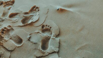 feet