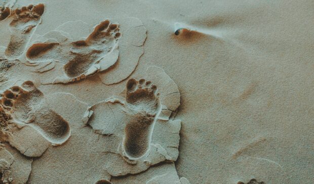 feet