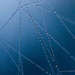 Zouts, Tipps für eine gesunde Blase