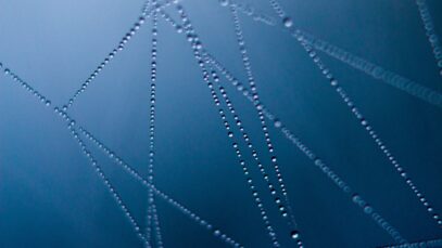 Zouts, Tipps für eine gesunde Blase