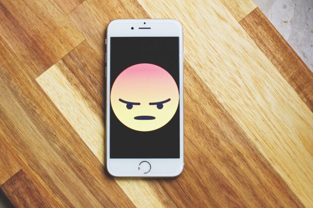 Zouts! Wut, Emotion, emotionales System