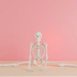 Beckenanatomie Zouts