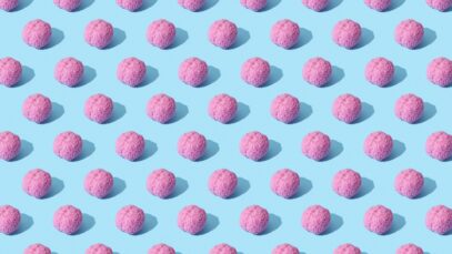 Zouts! Teil I, Wie das Gehirn funktoniert