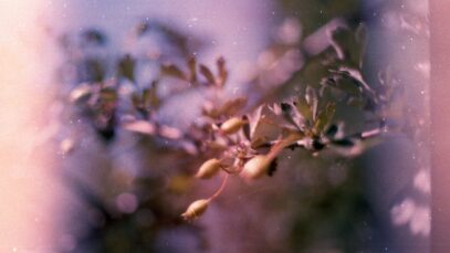 Zouts! Dramadreieck, die Opferrolle