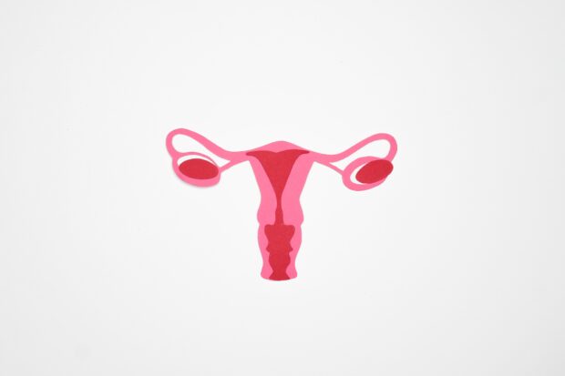 Zouts! Endometriose Lea uterus