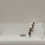 Zouts! Full of shit! Lea Toilettes