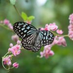 Zouts! Die Schilddrüse