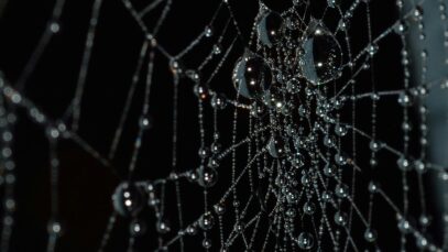 Zouts! Angststörungen, Intro