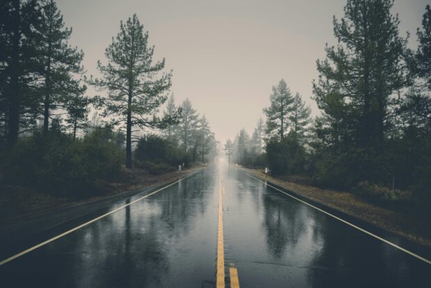 Zouts! So ein Tag Lea Pluie